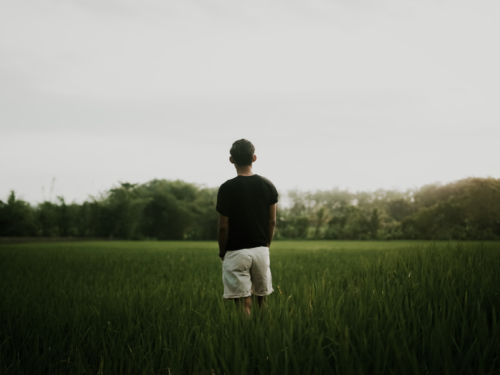 Everything You Need to Know about Green Burials