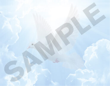 Funeral Memorial Program PrePrinted Shell Folder
