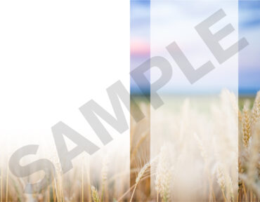 Funeral Memorial Program PrePrinted Shell Folder