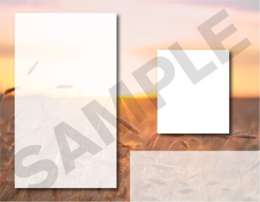 Funeral Memorial Program PrePrinted Shell Folder
