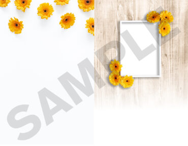 Funeral Memorial Program PrePrinted Shell Folder