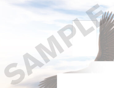 Funeral Memorial Program PrePrinted Shell Folder