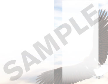 Funeral Memorial Program PrePrinted Shell Folder